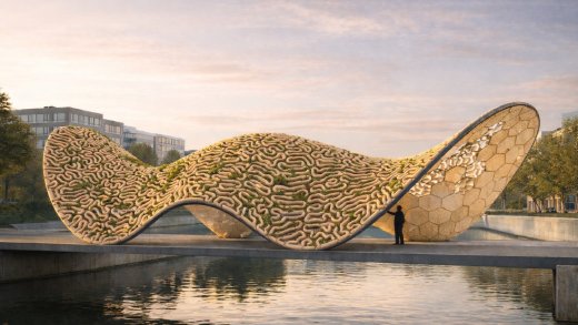 Lithic Reef: l’architettura lapidea si fa organismo vivo per la biodiversità urbana