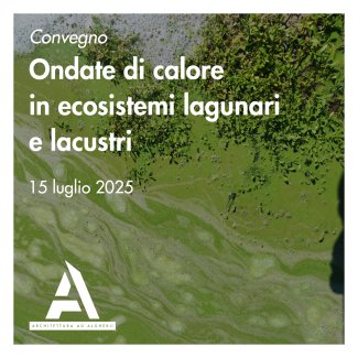 Locandina del convegno Ondate di calore in ecosistemi lagunari e lacustri