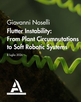 Locandina Flutter instability: From plant circumnutations to soft robotic systems